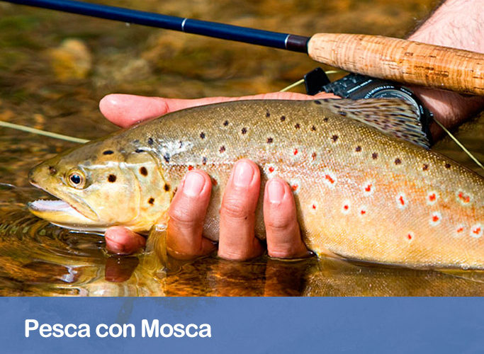 Pesca Con Mosca